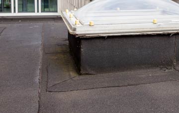 disadvantages of Narborough flat roofs