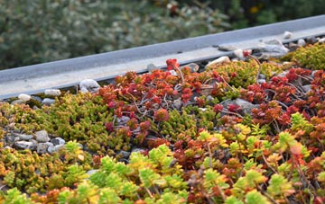 the cost of Narborough green roof installation
