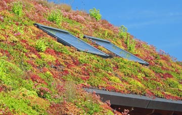 Narborough living roof systems